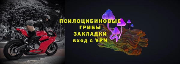 прущие грибы Слюдянка