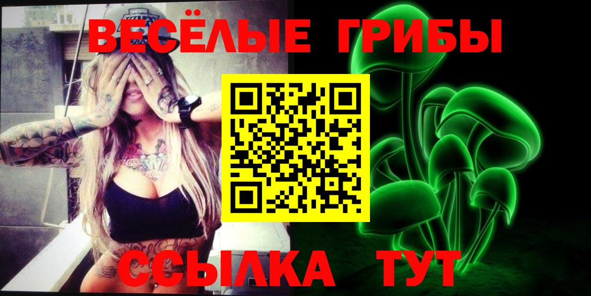 где купить наркоту  Псилоцибиновые грибы прущие грибы  Вход с VPN  Железноводск 
