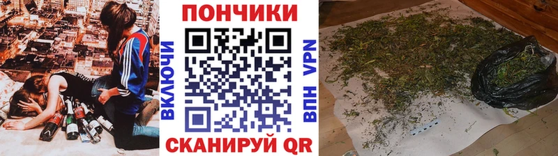 купить наркоту  Железноводск  Конопля сатива 